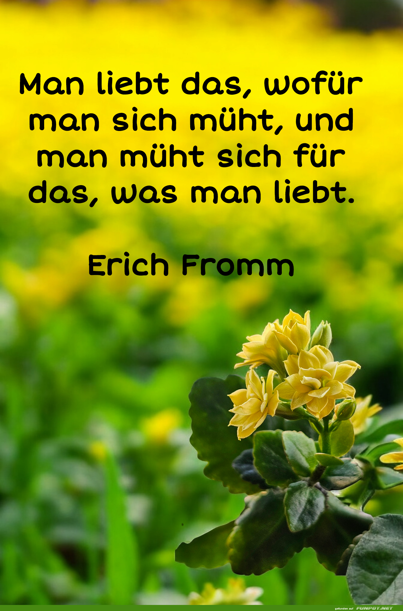 Schne Gedanken ber Liebe und Mhe