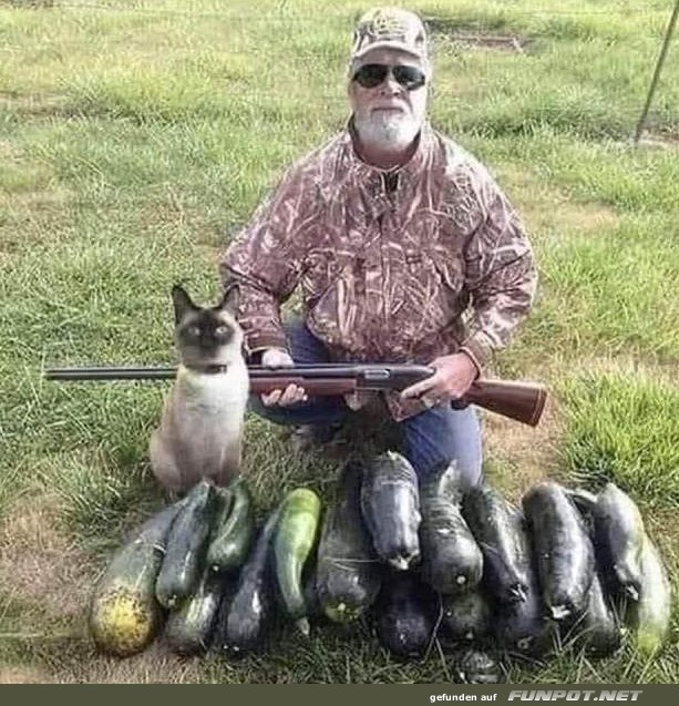 Jger mit Katze und Zucchini-Ernte