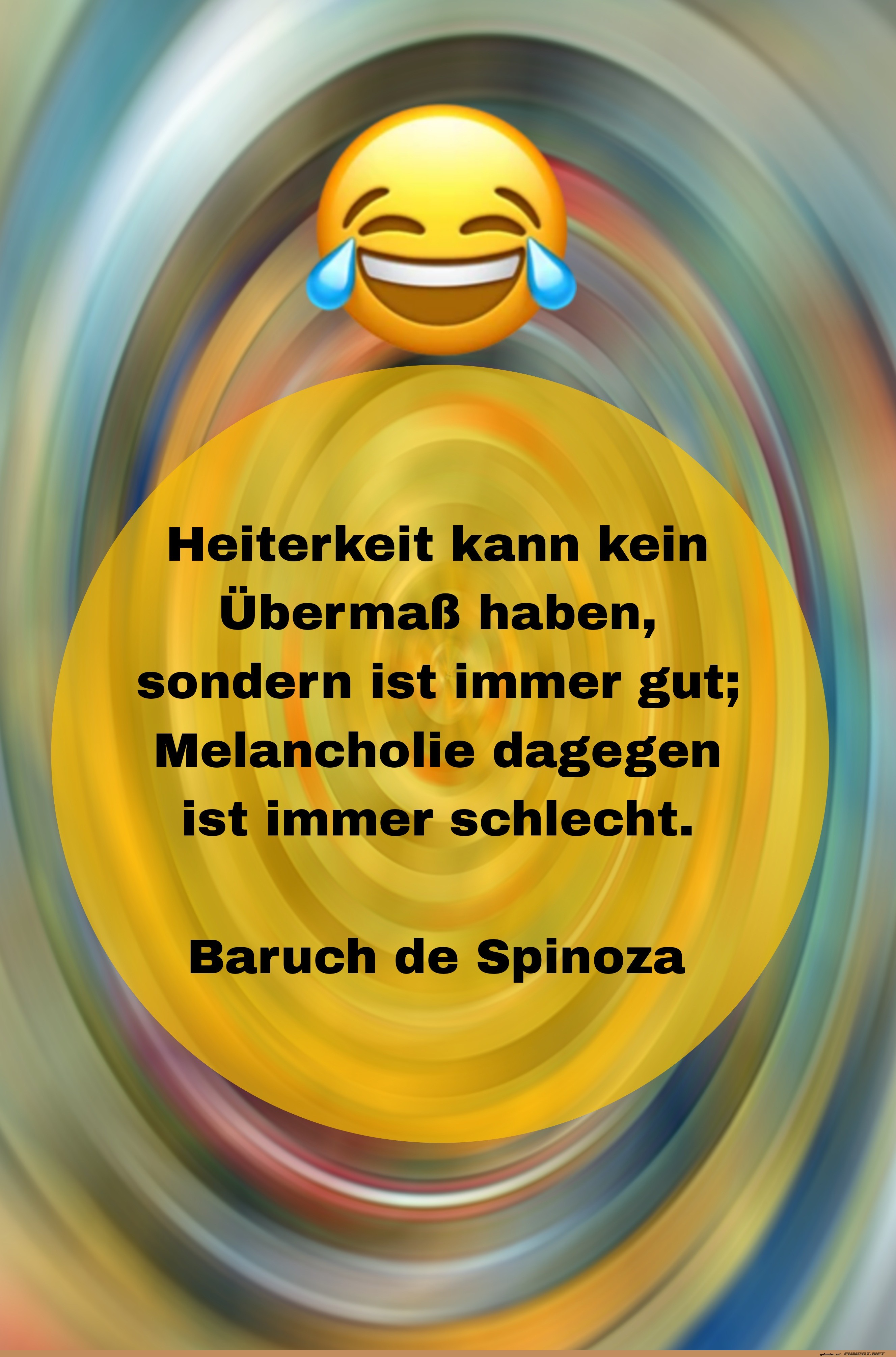 Heiterkeit und Melancholie - Ein Spinoza Zitat