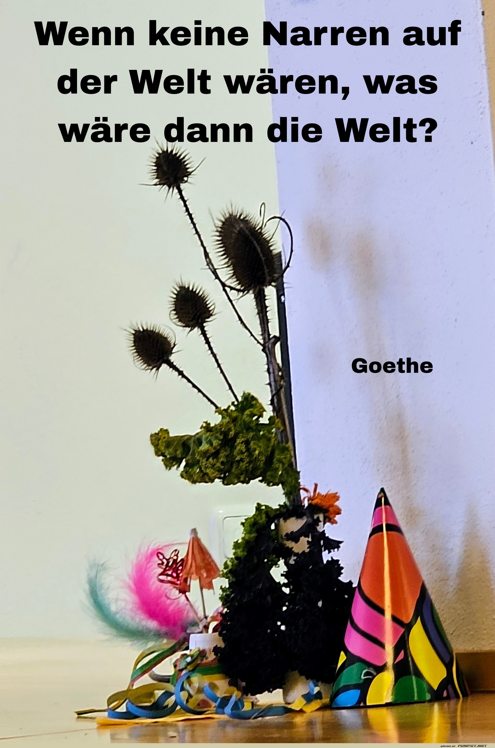 Narren und die Welt - Goethe Zitat