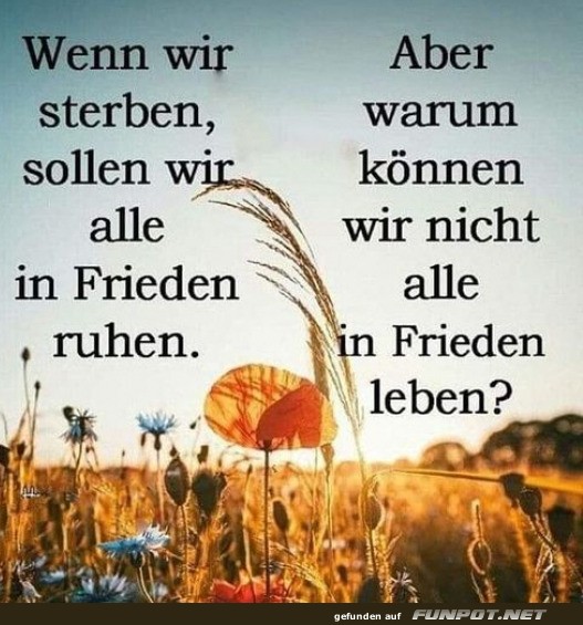 Frieden: Sterben und Leben