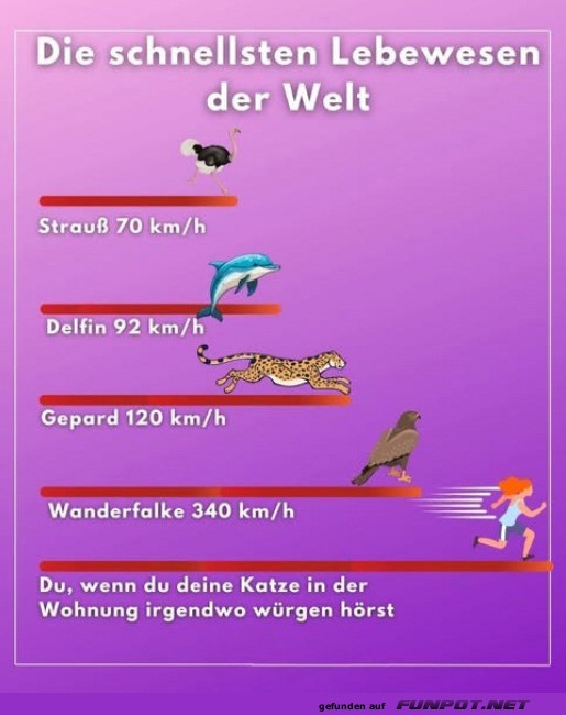 Die schnellsten Lebewesen der Welt