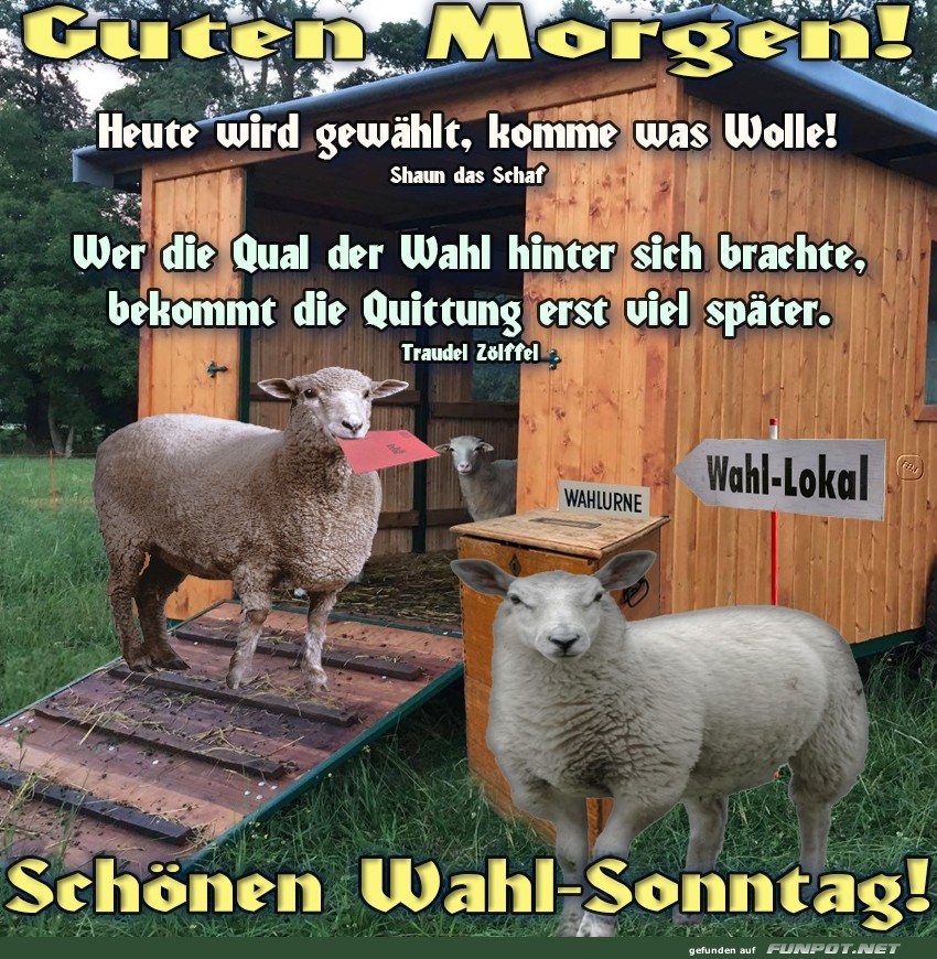 Wahl-Sonntag