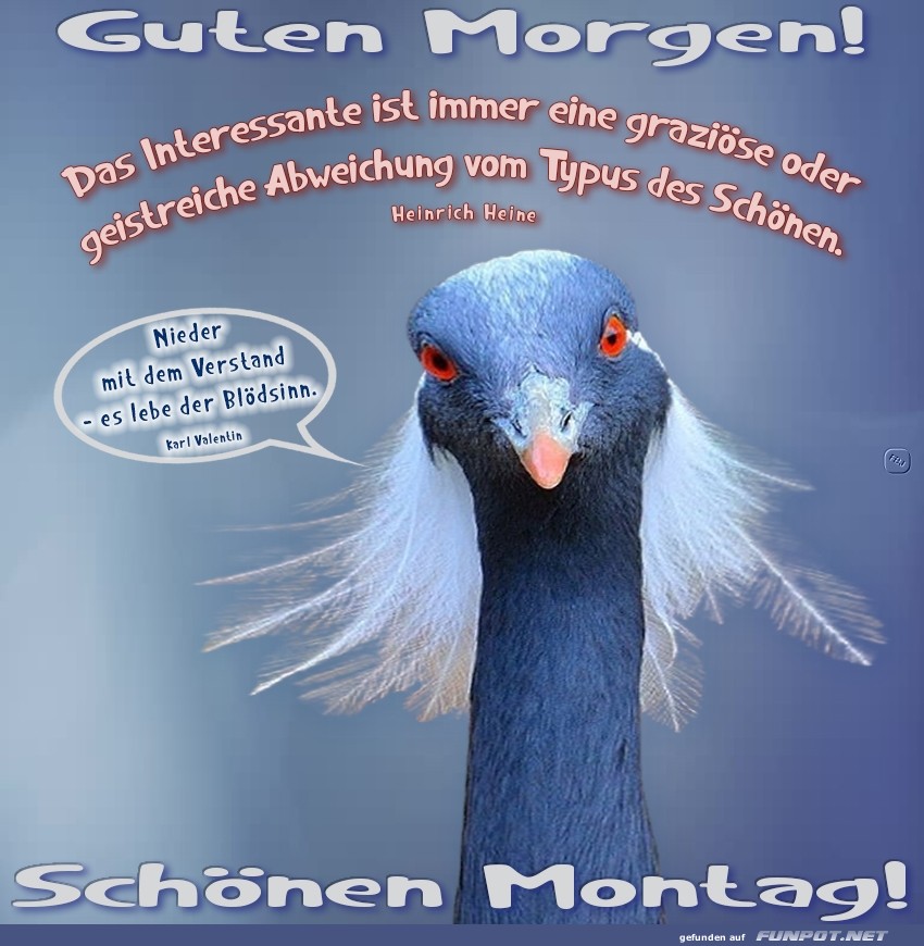 Guten Morgen mit einem schönen Montag Guten Morgen mit einem schönen Montag