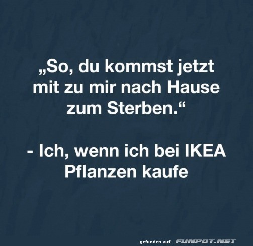 Lustiger Spruch ber IKEA Pflanzen