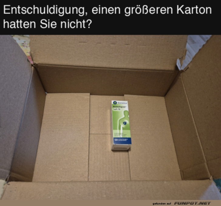 Unntig groer Karton fr kleines Produkt