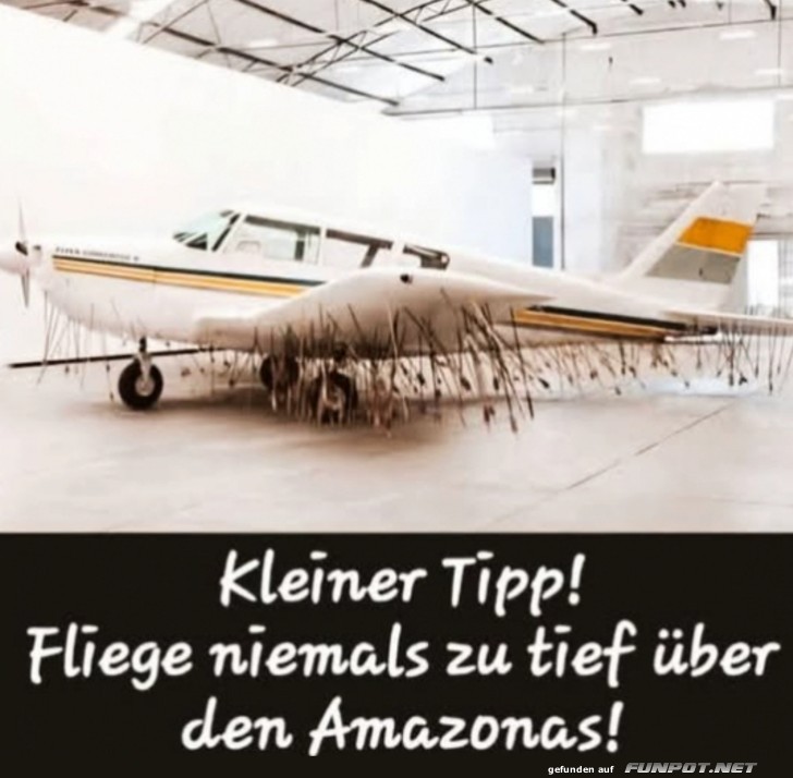 Kleiner Tipp! Fliege niemals zu tief ber den Amazonas!