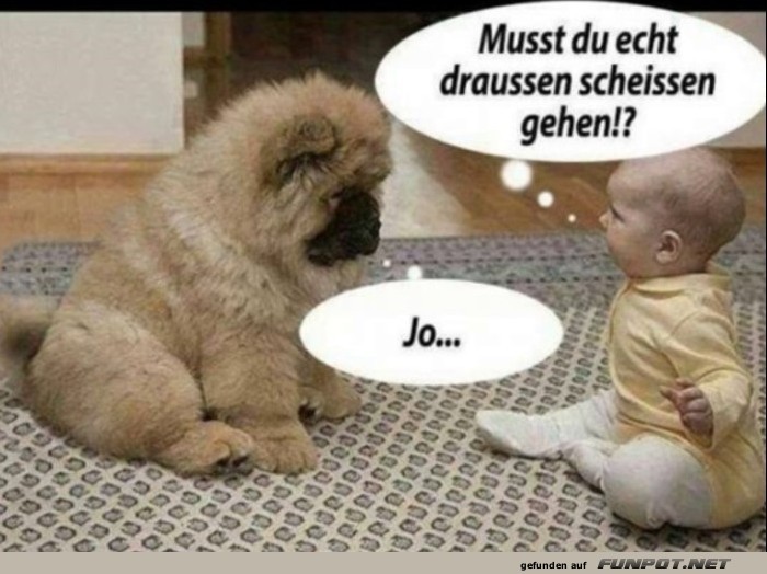 Lustiger Dialog zwischen Hund und Baby