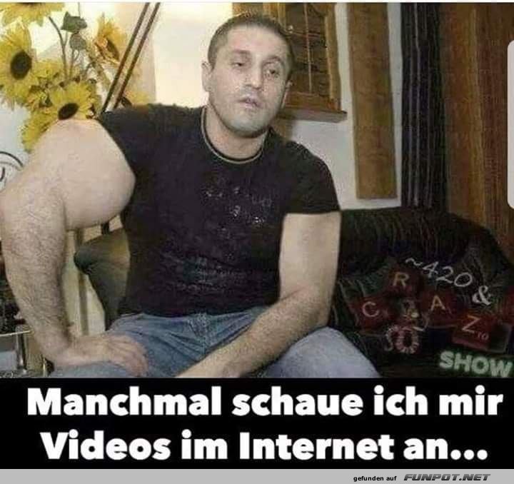 Lustige Videos im Internet