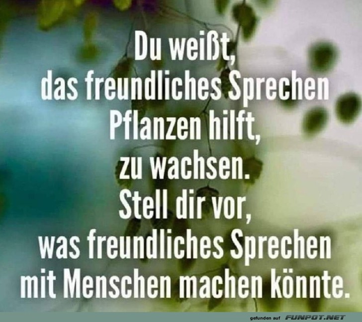 Die Kraft freundlicher Worte