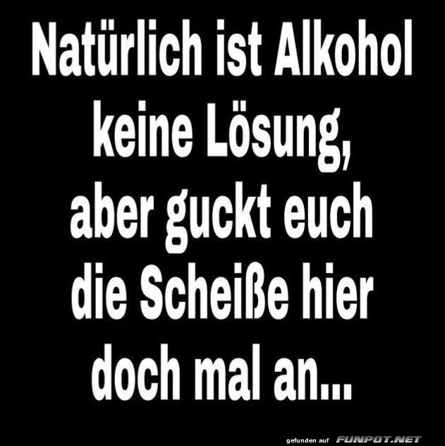 Alkohol ist keine Lsung, aber...