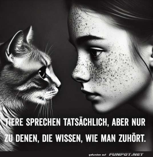 Mdchen und Katze im Dialog