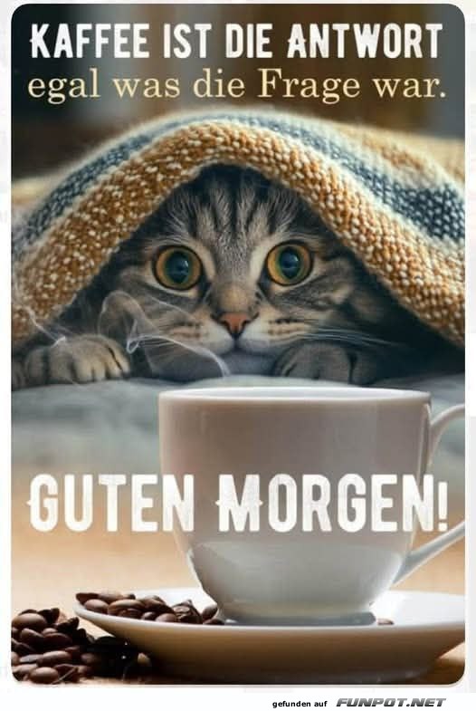 Kaffee und Katze fr einen guten Morgenstart