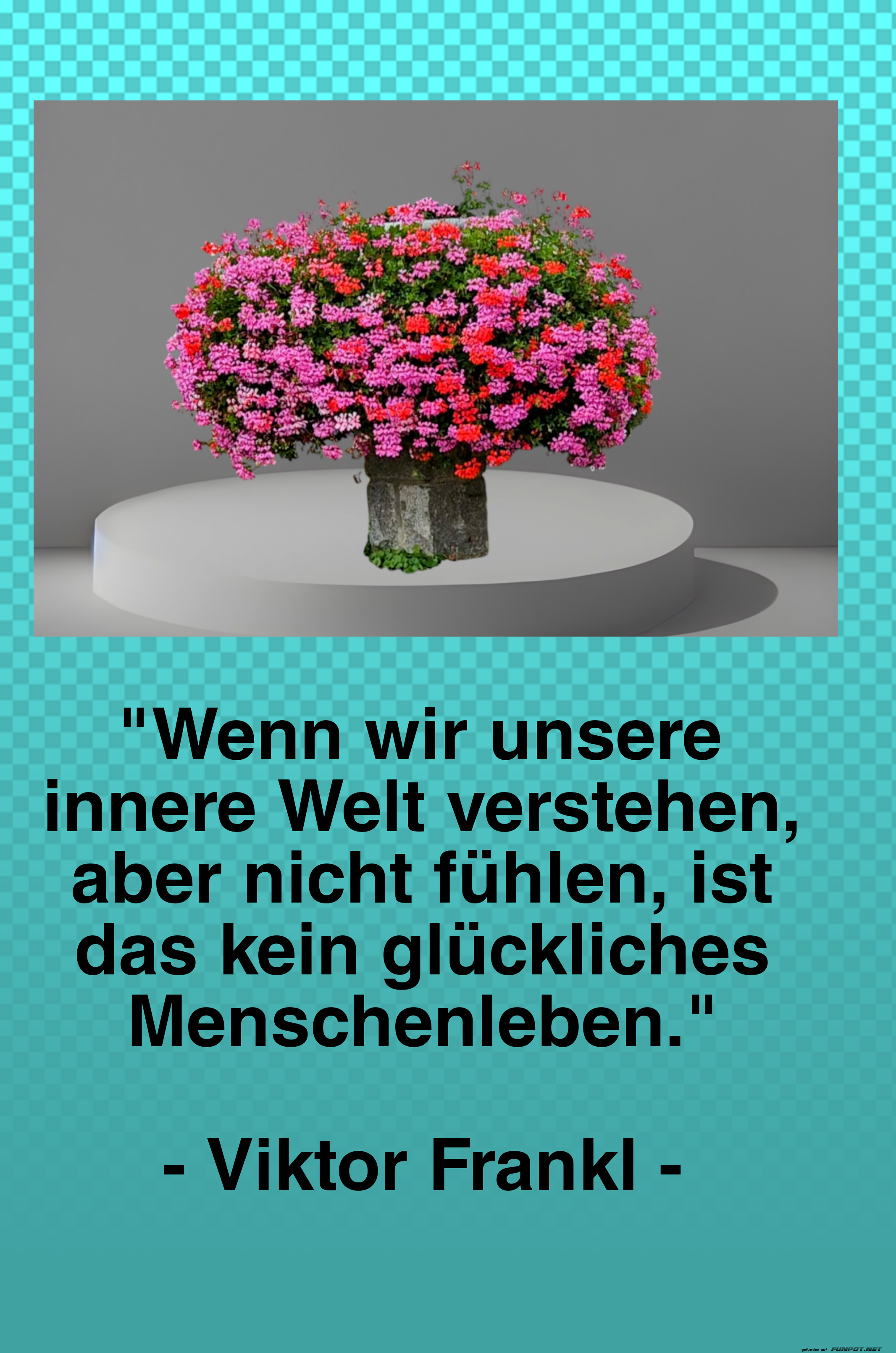 Blumen und inspirierendes Zitat