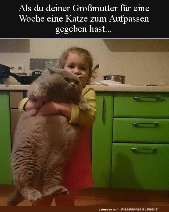 Kleines Mdchen mit riesiger Katze