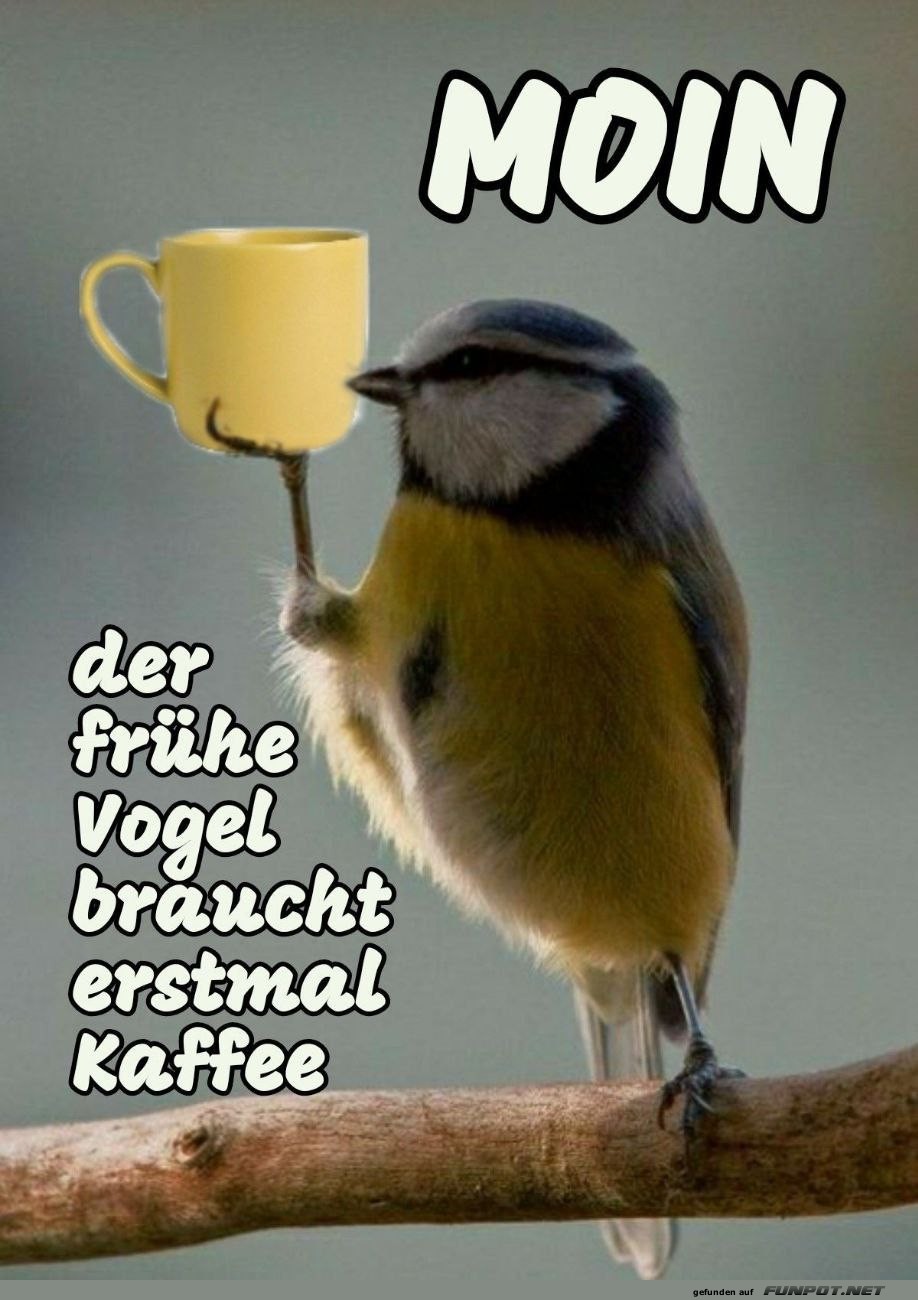 Der frhe Vogel