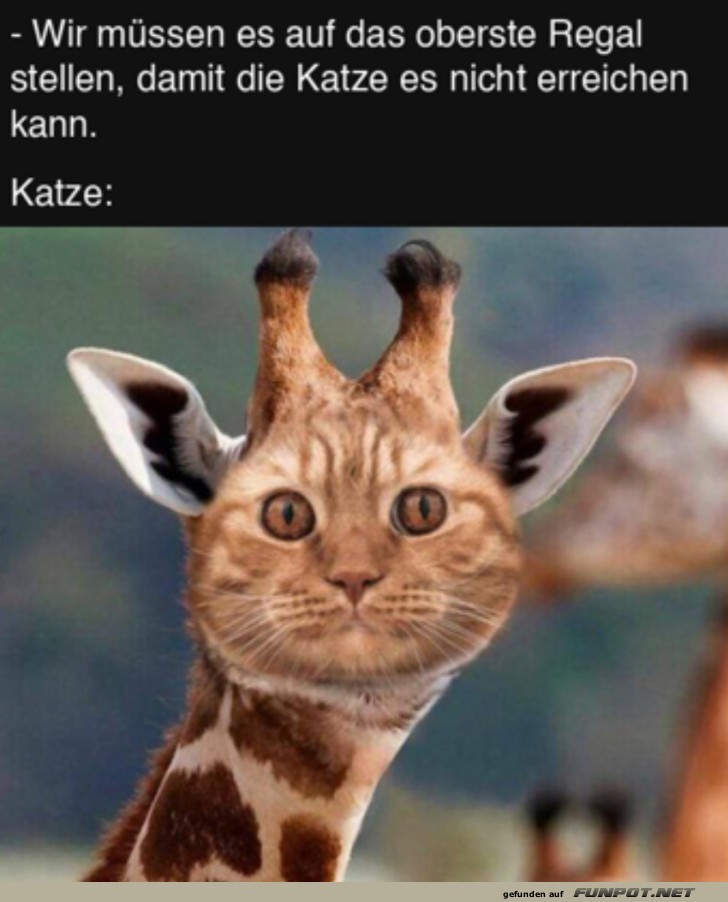 Kreative Katzengiraffe