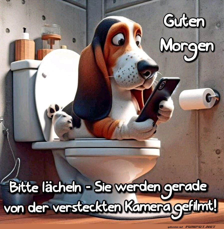 Hund mit Handy auf Toilette wnscht Guten Morgen