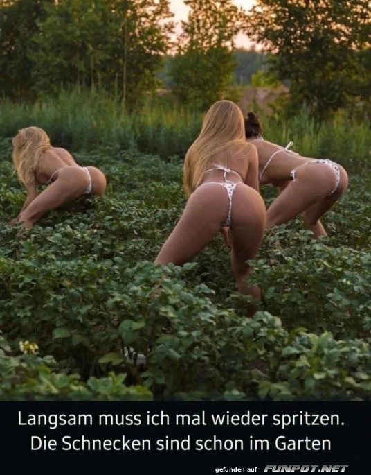 Gartenarbeit mit einem humorvollen Spruch