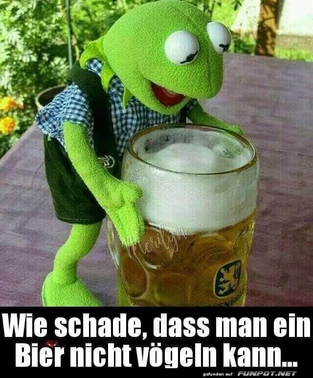 Kermit mit Bierkrug und humorvollem Spruch