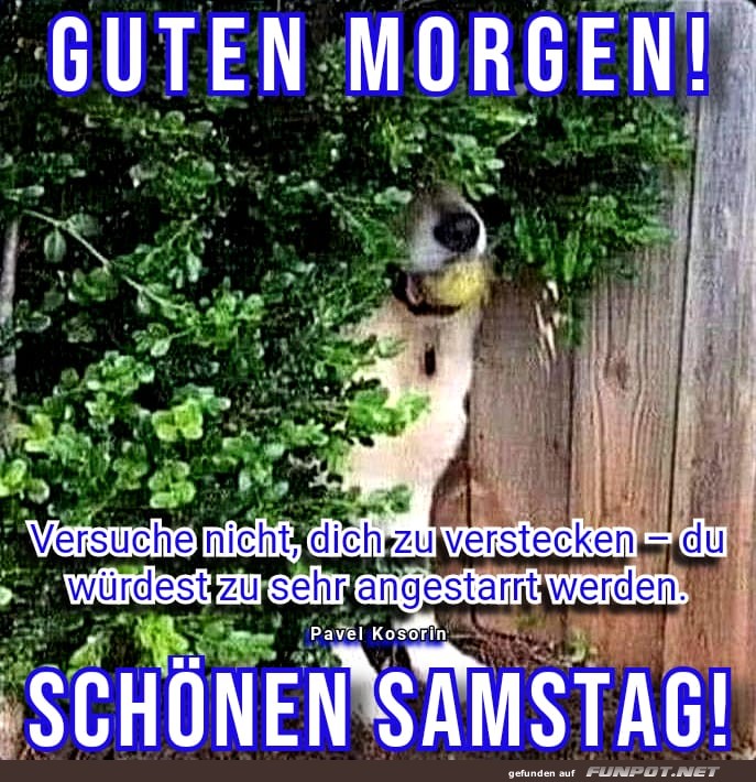 Witziger Start in den Samstag