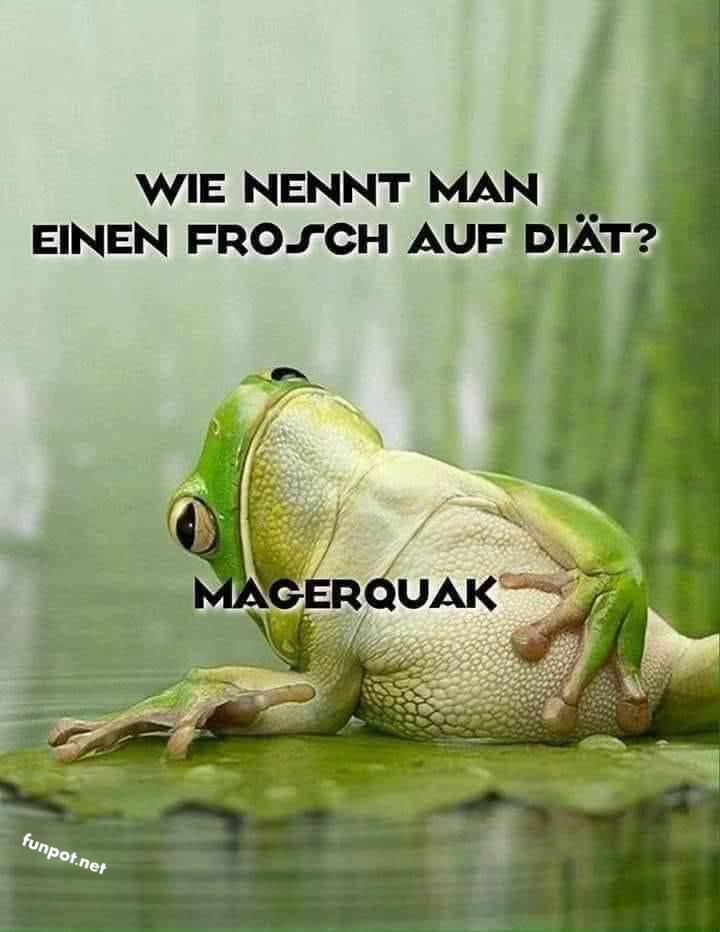 Frosch-Wortspiel: Was ist ein Magerquak? Frosch-Wortspiel: Was ist ein Magerquak?