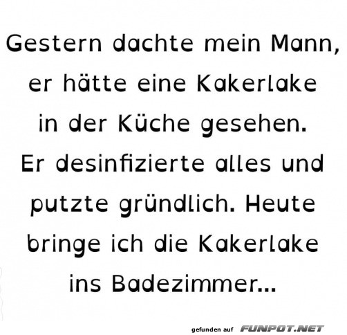 Humor in der Kche: Kakerlake sorgt fr Aufruhr