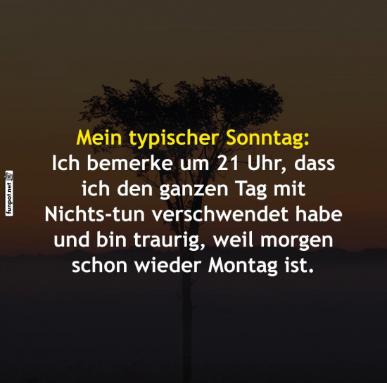 Typischer Sonntag und das Gefhl der Reue
