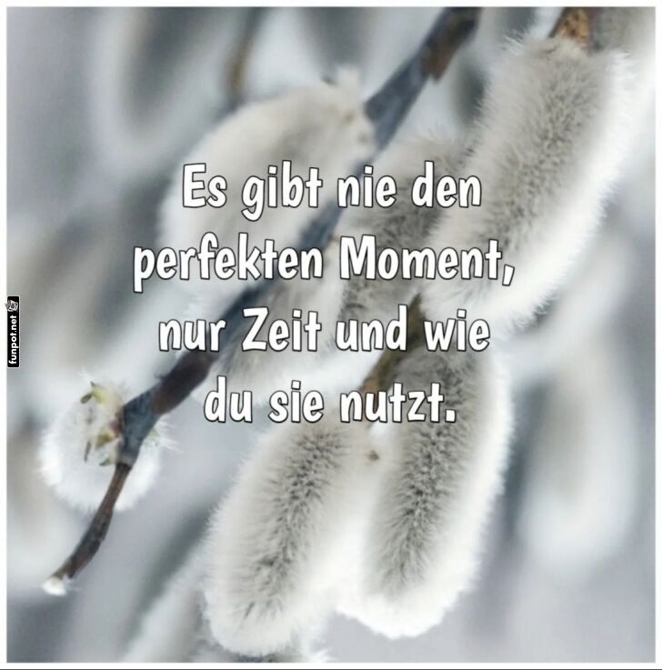 Weisheit über den perfekten Moment Weisheit über den perfekten Moment