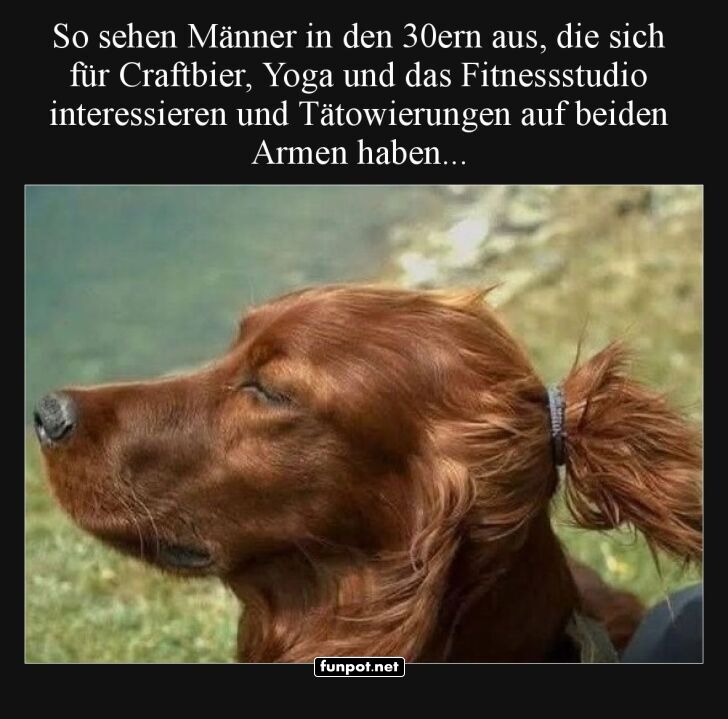 Hund mit menschlichem Lebensstil Hund mit menschlichem Lebensstil