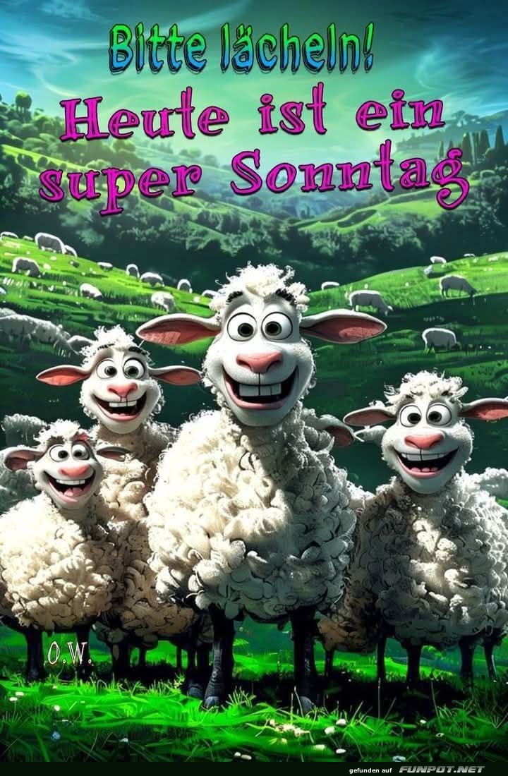 Fröhliche Schafe am Sonntag Fröhliche Schafe am Sonntag