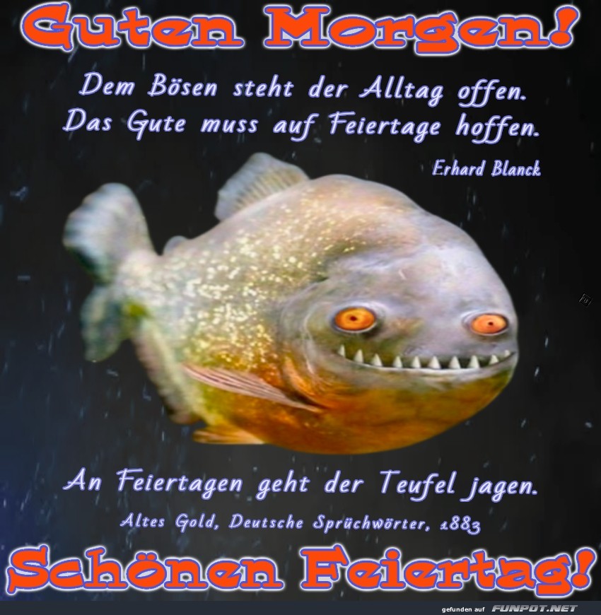 Lustiger Fischgru am Feiertagmorgen