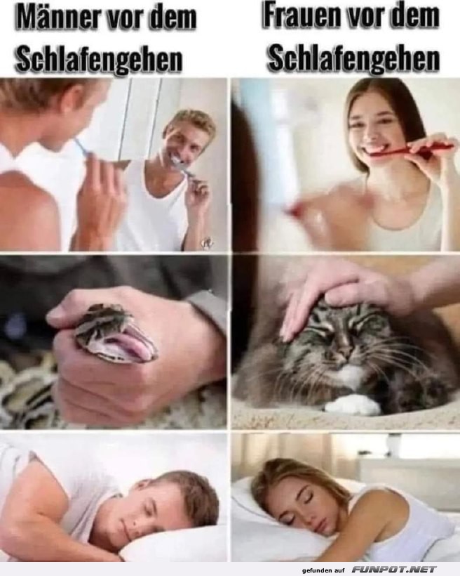 Unterschiedliche Schlafenszeit-Routinen Unterschiedliche Schlafenszeit-Routinen