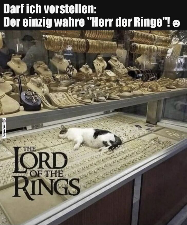 Der wahre Herr der Ringe entdeckt Der wahre Herr der Ringe entdeckt