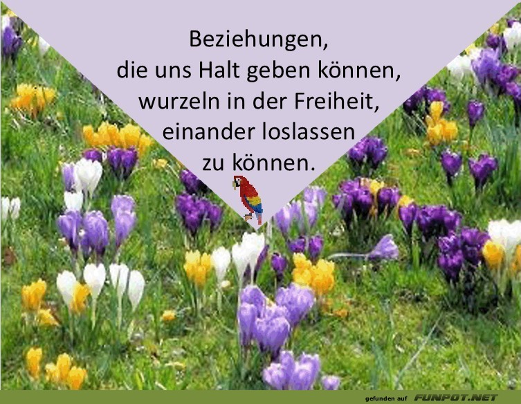 Beziehungen Beziehungen
