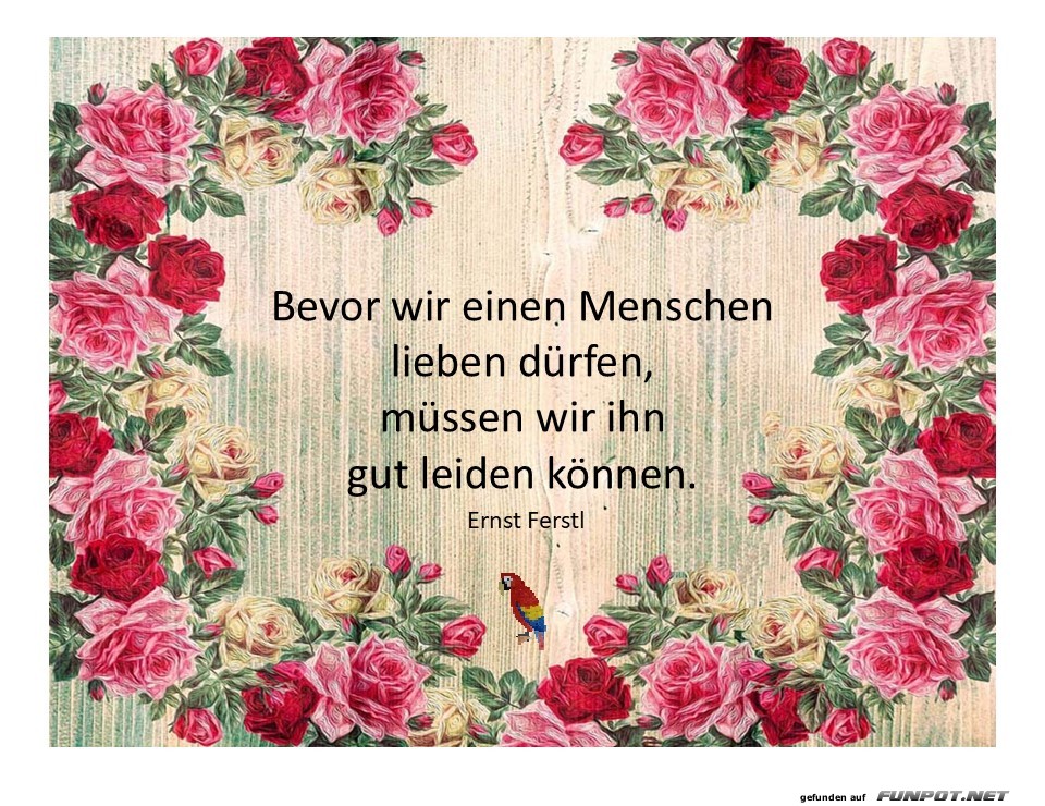Bevor wir einen Menschen lieben Bevor wir einen Menschen lieben