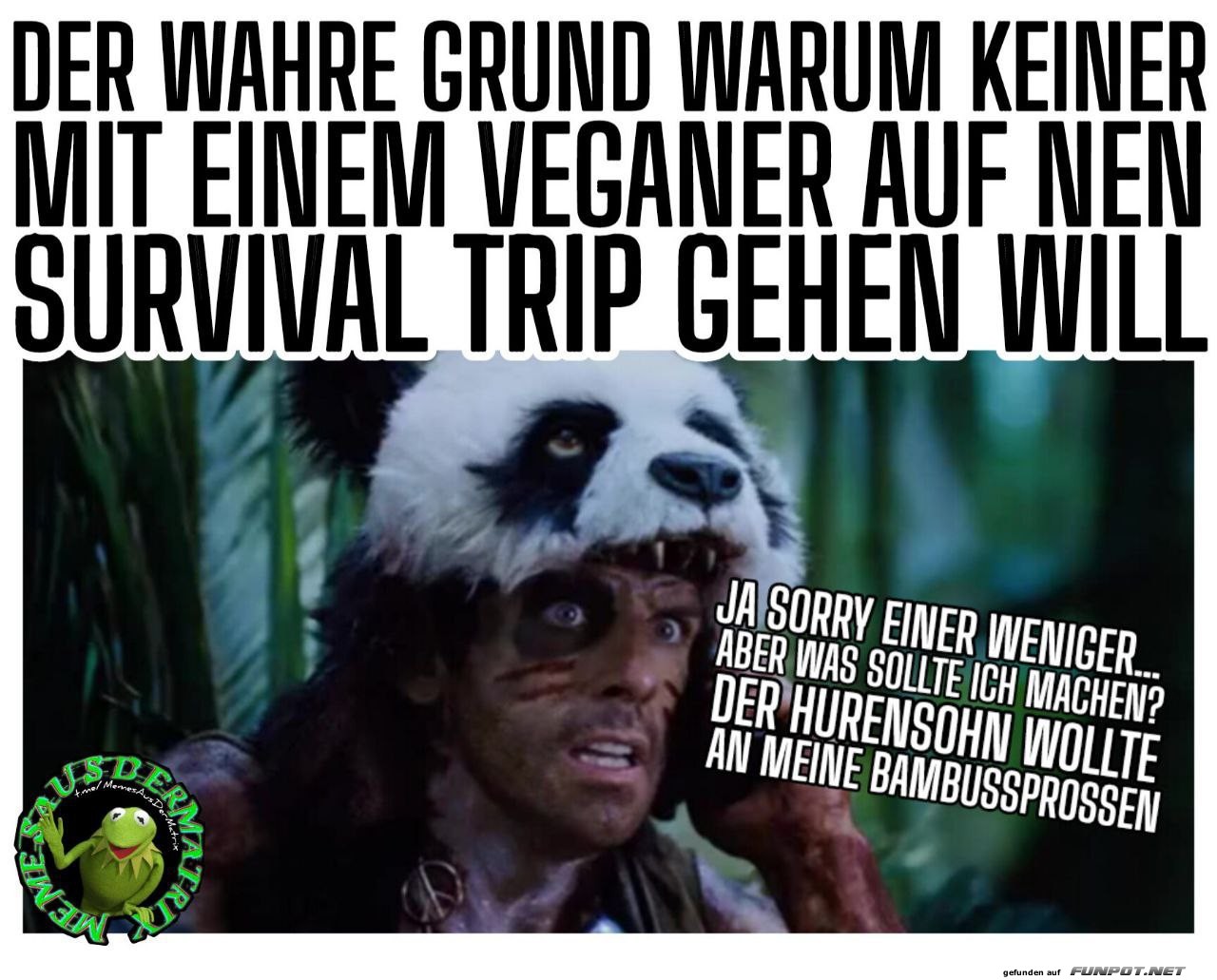Der wahre Grund Der wahre Grund