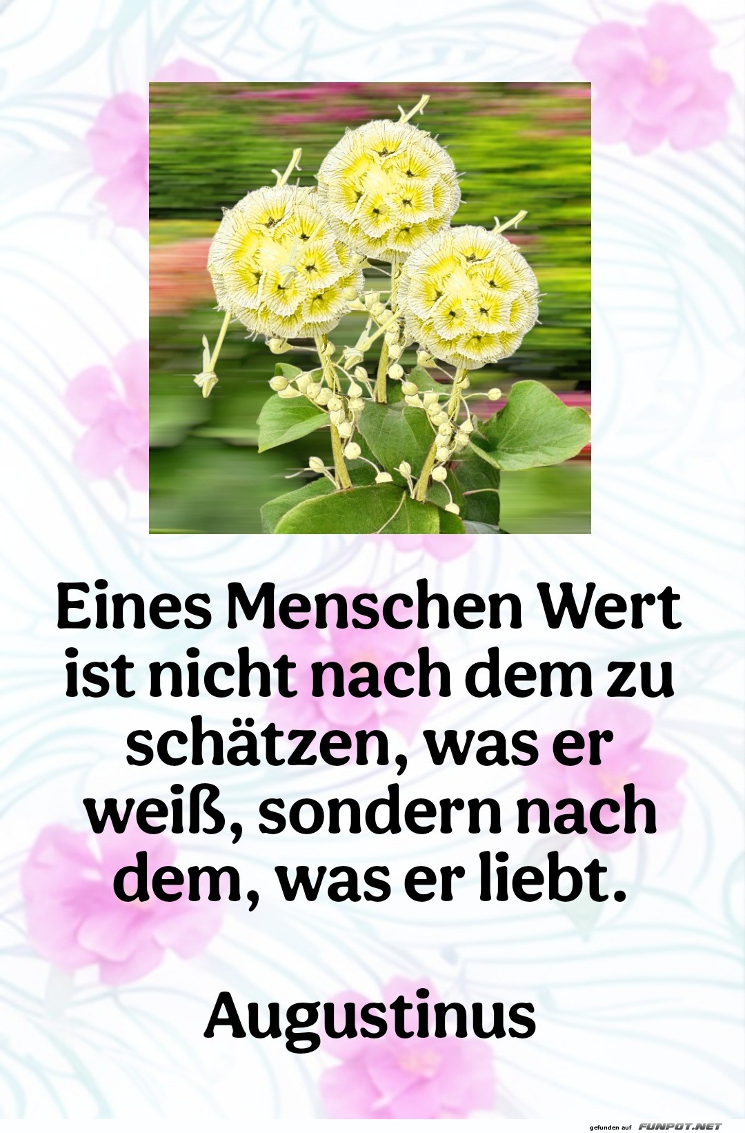 eines menschen wert eines menschen wert