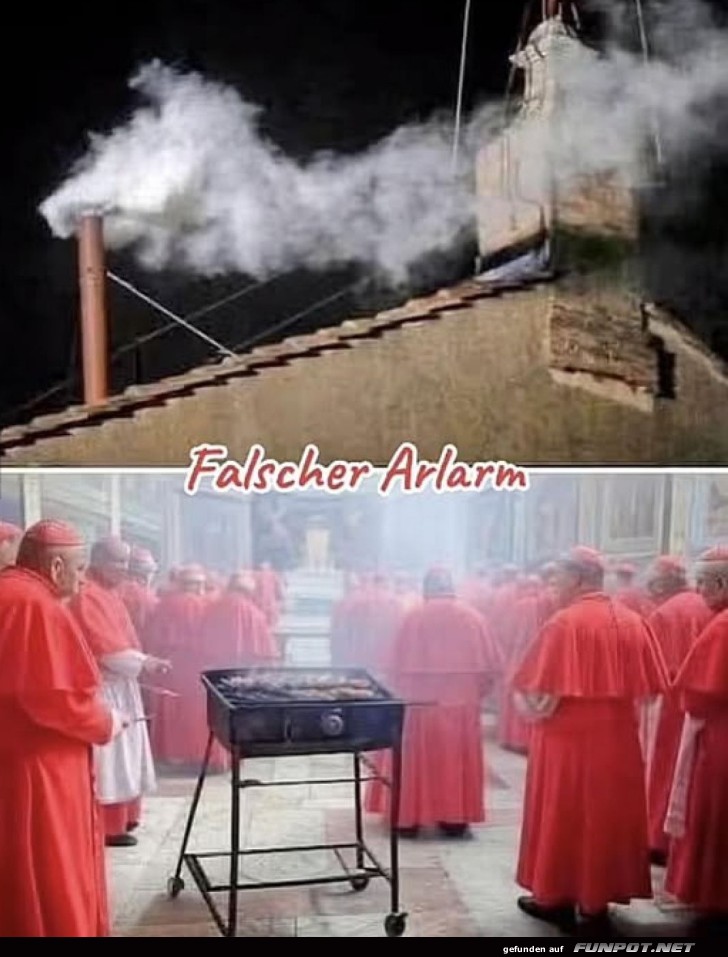 Witziges Bild: Falscher Alarm im Vatikan Witziges Bild: Falscher Alarm im Vatikan