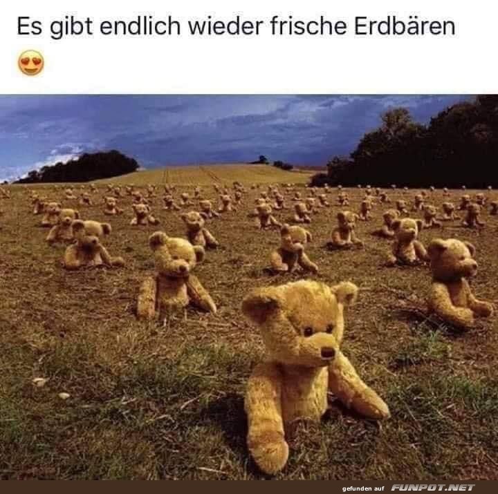 Feld voller Teddybären im Freien Feld voller Teddybären im Freien