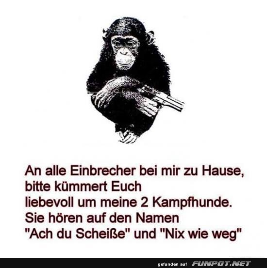 Lustige Warnung mit bewaffnetem Affen Lustige Warnung mit bewaffnetem Affen