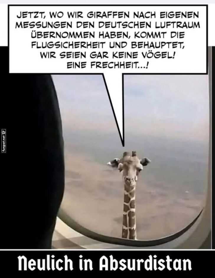Giraffen im Luftraum: Humor über den Wolken Giraffen im Luftraum: Humor über den Wolken