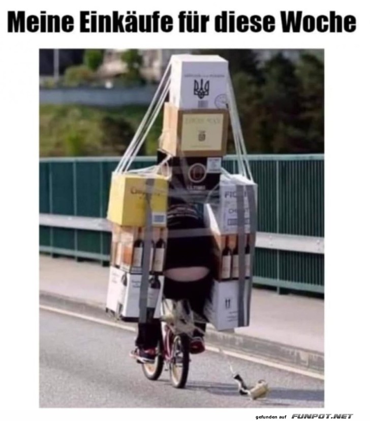 Mega-Einkauf mit dem Fahrrad transportiert Mega-Einkauf mit dem Fahrrad transportiert