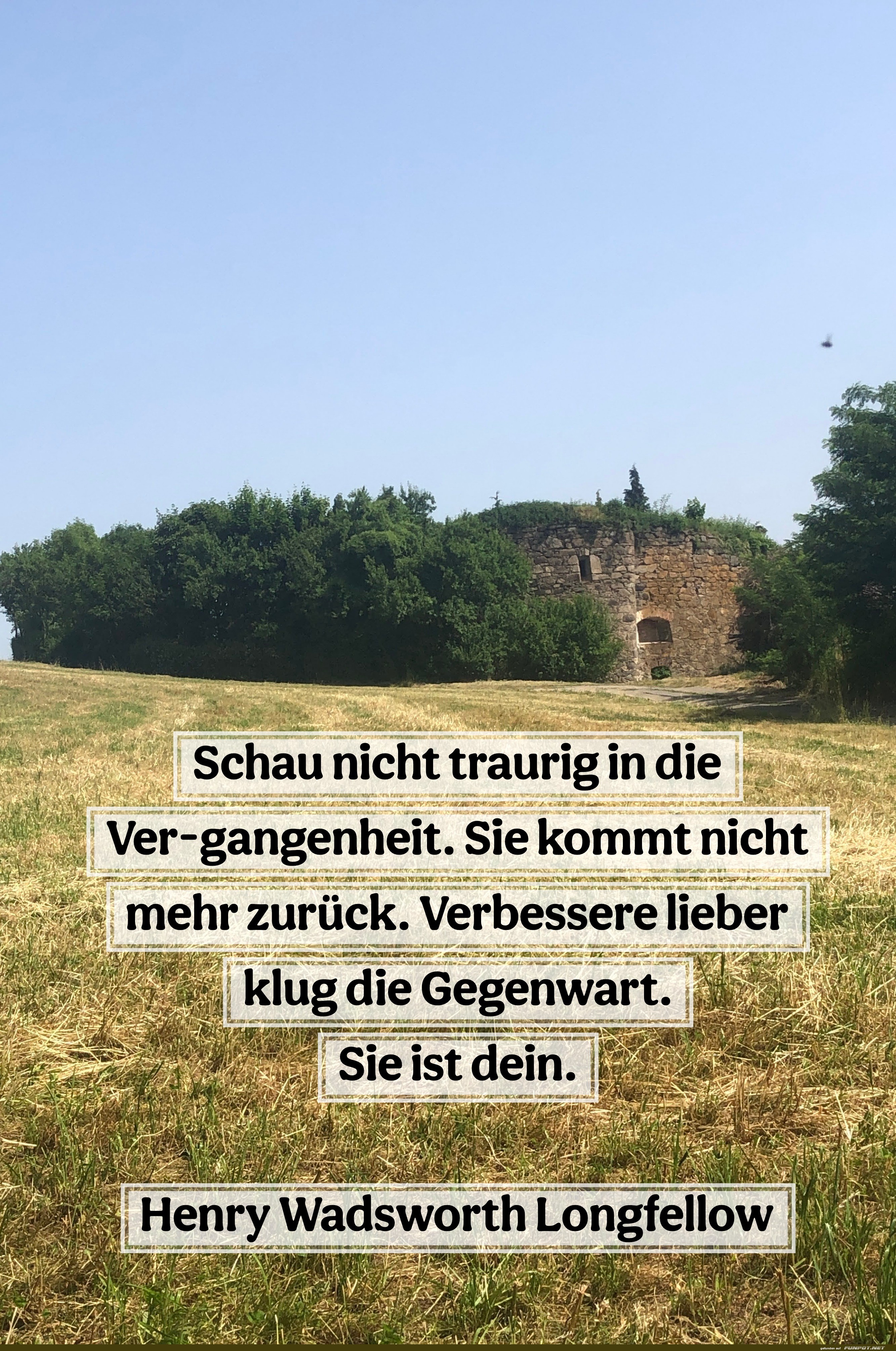 schau nicht traurig schau nicht traurig
