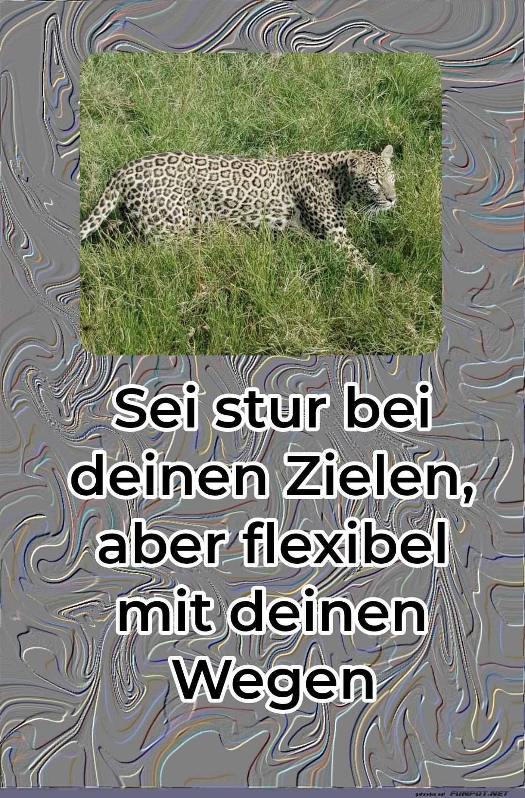 sei stur bei deinen zielen sei stur bei deinen zielen