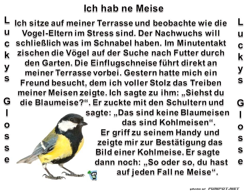Ich hab ne Meise Ich hab ne Meise