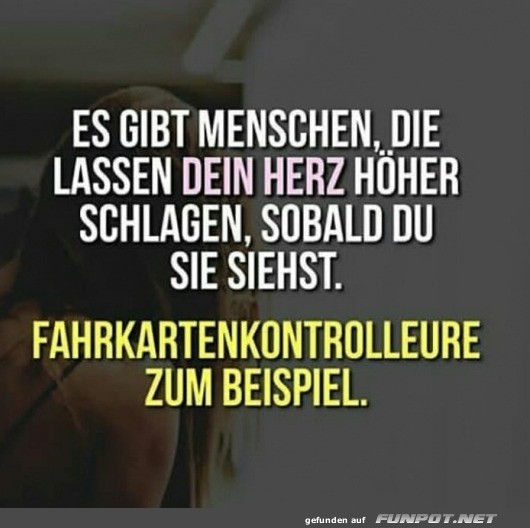 Herzklopfen bei Fahrkartenkontrolleuren Herzklopfen bei Fahrkartenkontrolleuren