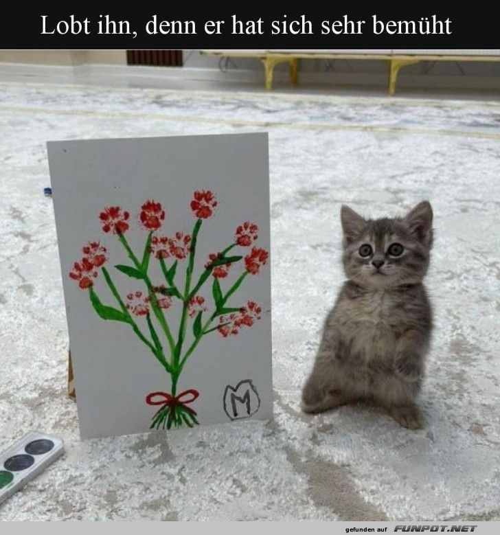 Die süßeste kreative Katzenkunst Die süßeste kreative Katzenkunst