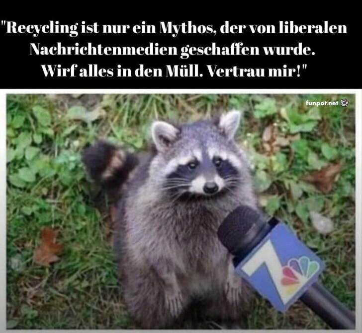 Waschbr gibt Recycling-Tipps