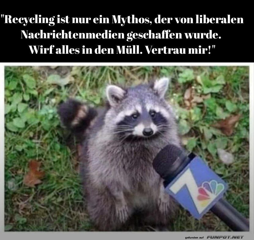 Waschbär gibt Recycling-Tipps Waschbär gibt Recycling-Tipps